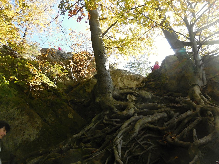 img00014.jpg