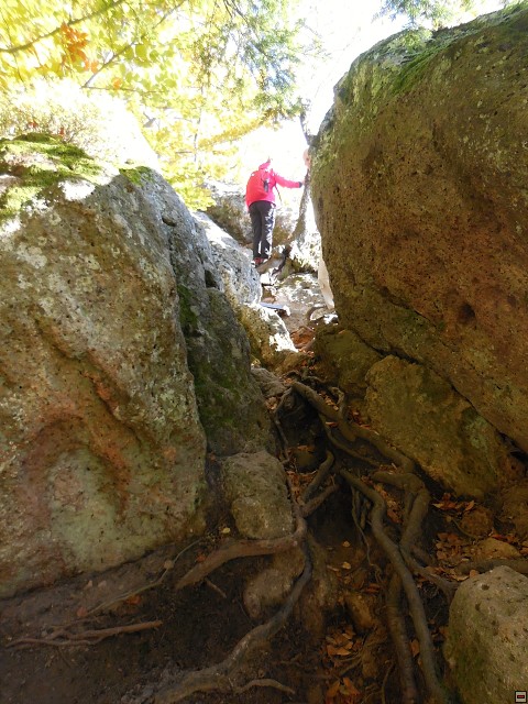 img00021.jpg