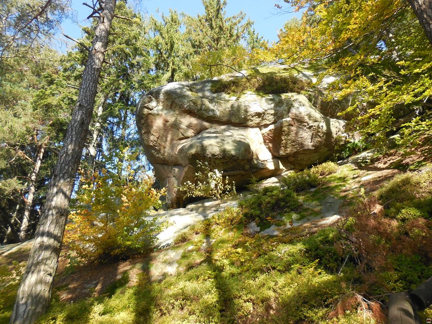 img00024.jpg