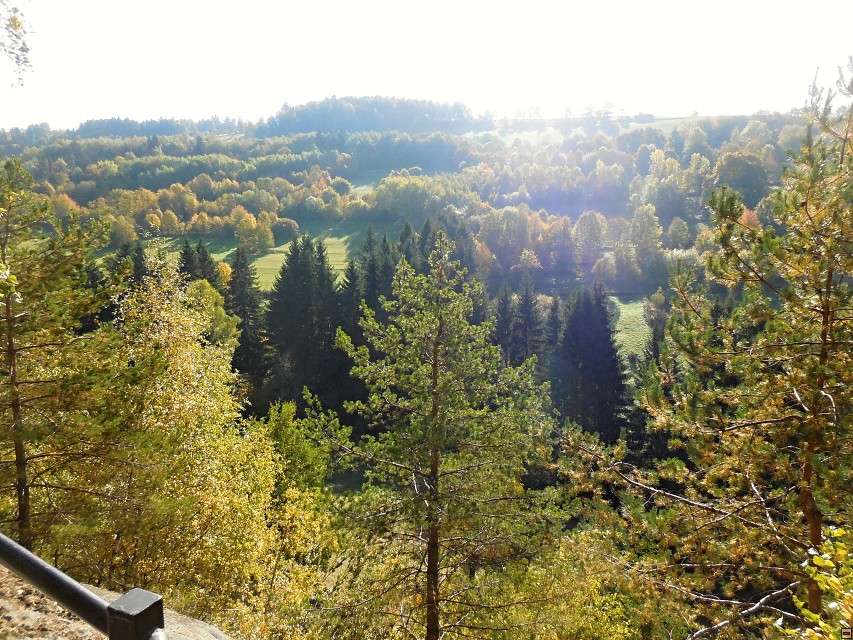 img00026.jpg