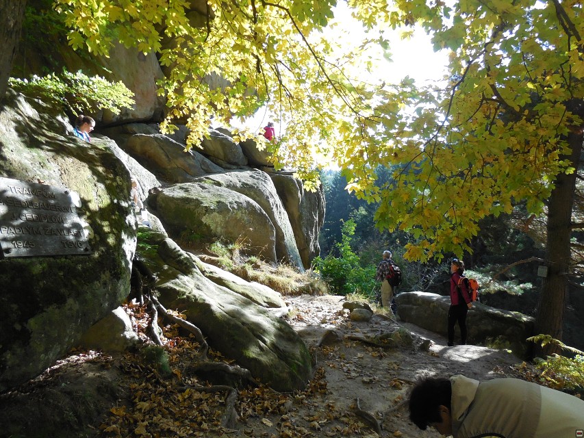 img00029.jpg
