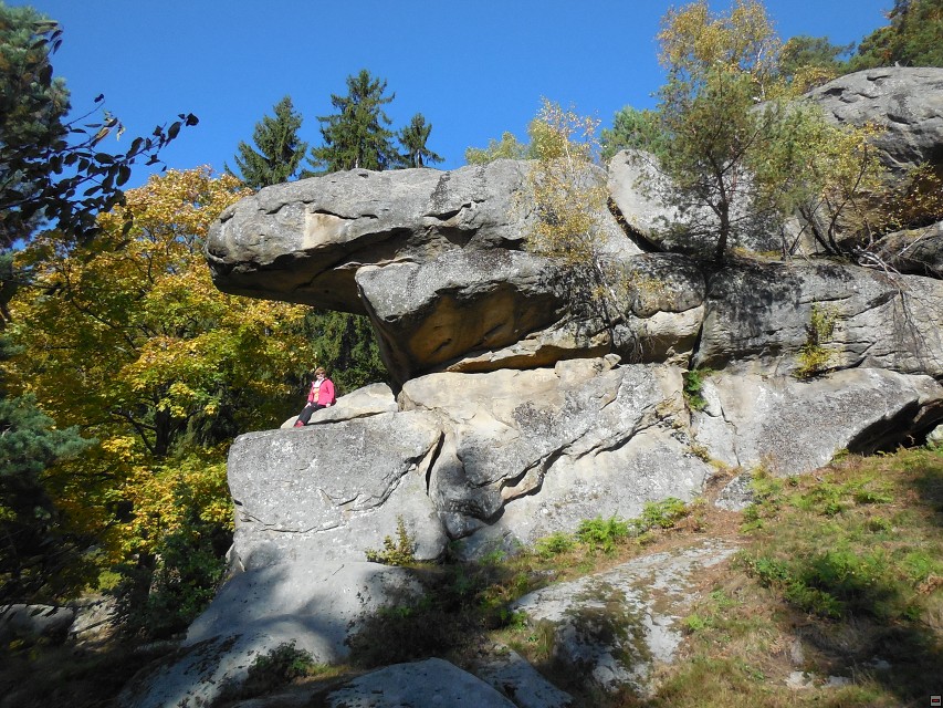 img00030.jpg