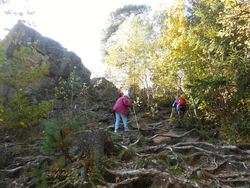 img00035.jpg