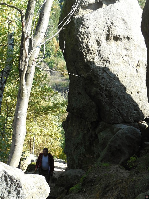img00037.jpg