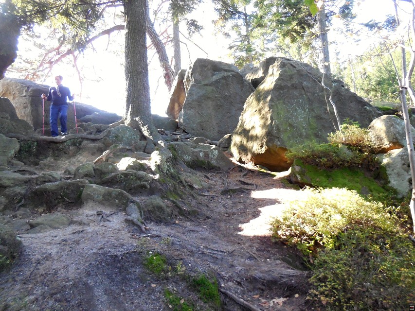 img00039.jpg