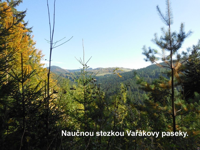 img00044.jpg
