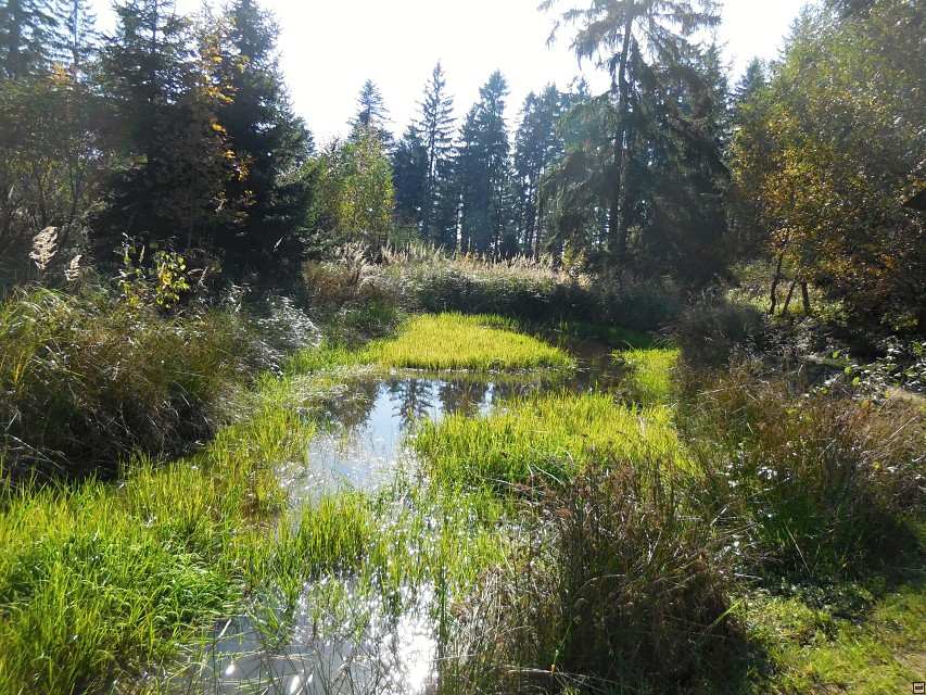 img00046.jpg