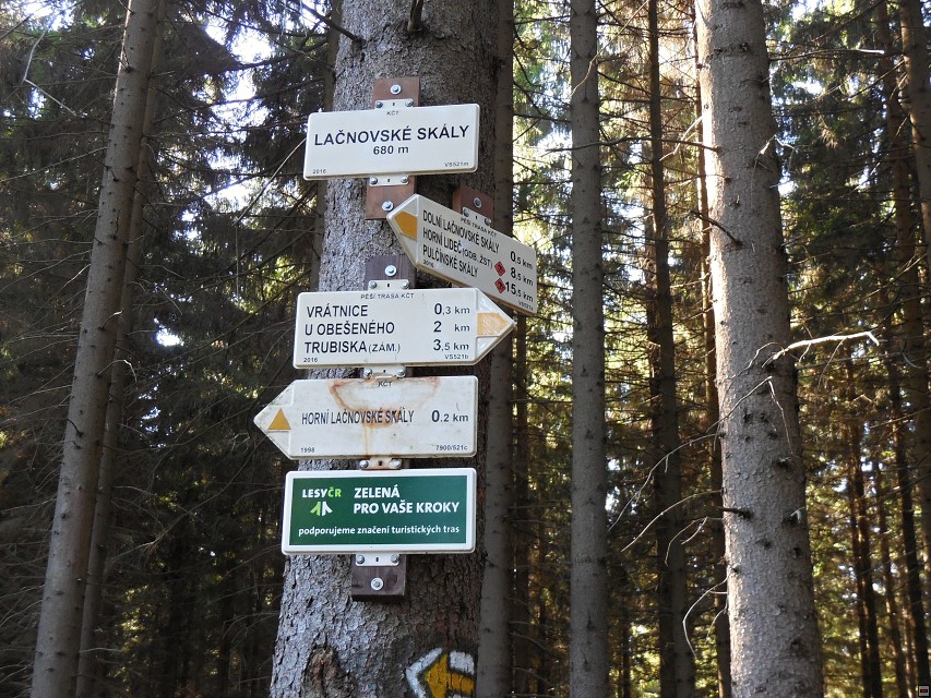 img00049.jpg