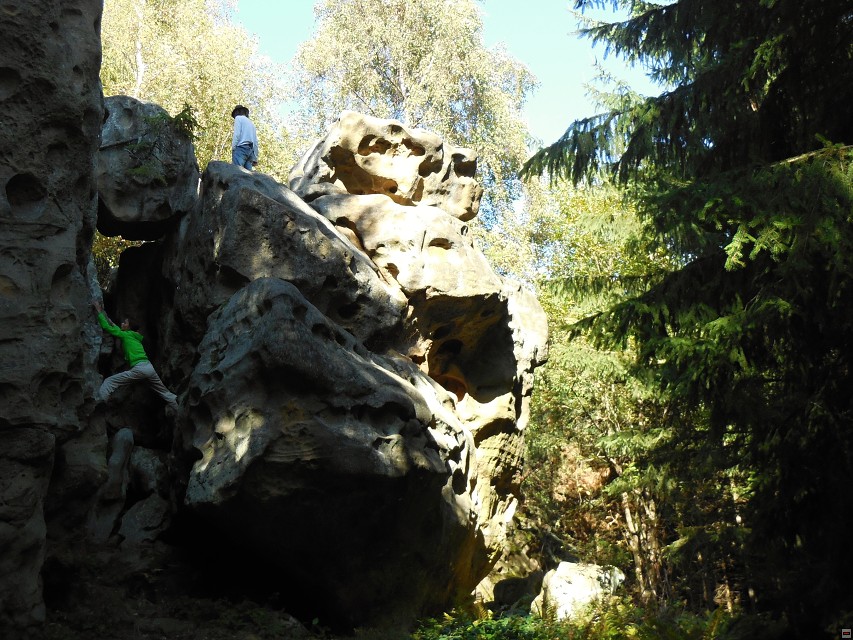 img00052.jpg