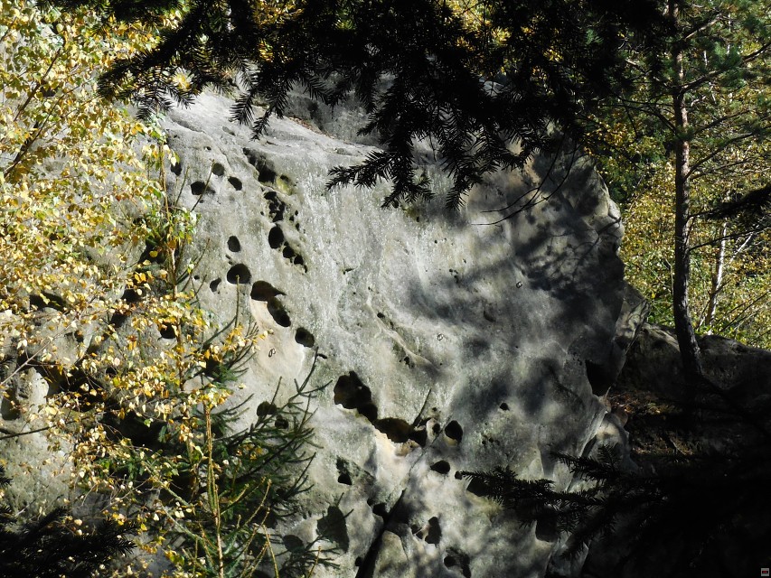 img00062.jpg