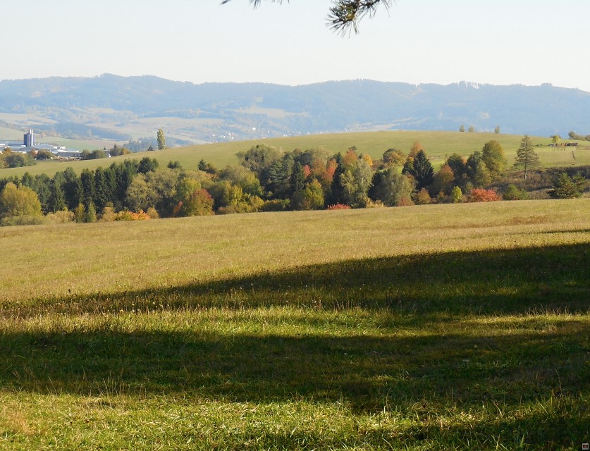 img00064.jpg