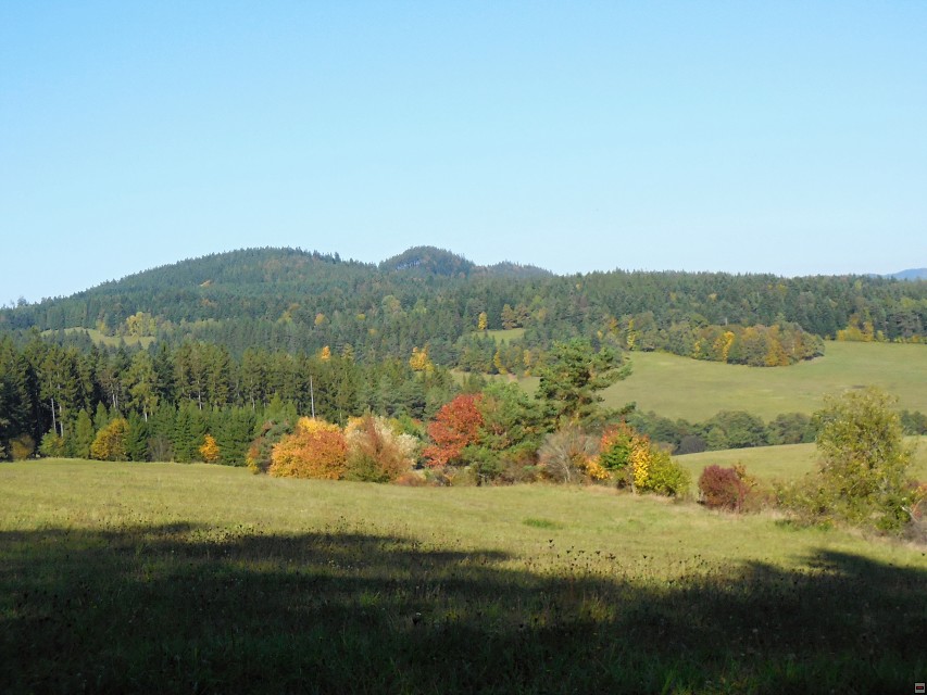 img00065.jpg