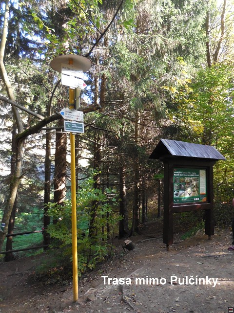 img00071.jpg