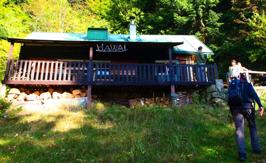 img00079.jpg