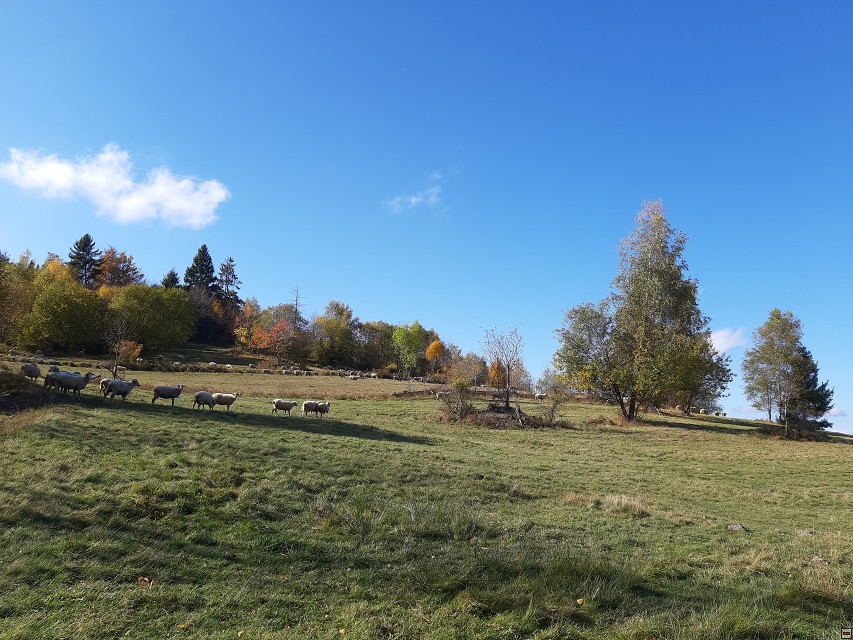 img00010.jpg