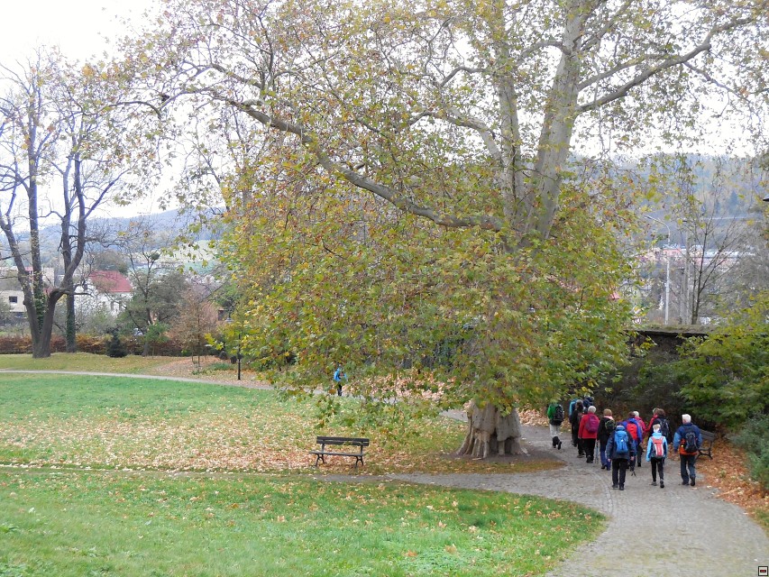 img00010.jpg