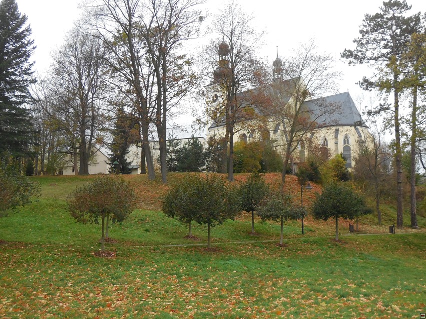 img00011.jpg