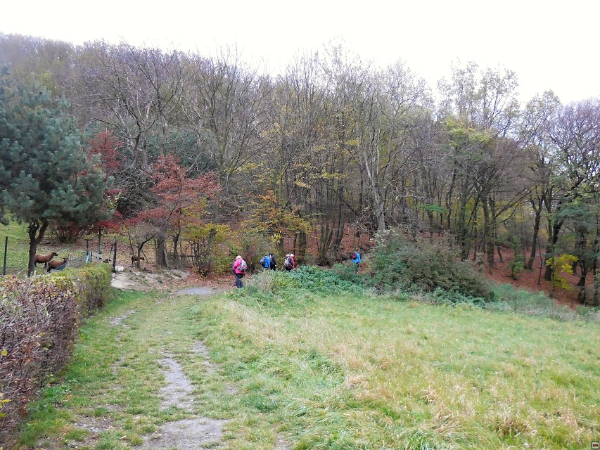 img00015.jpg