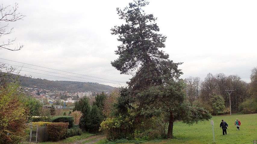 img00019.jpg