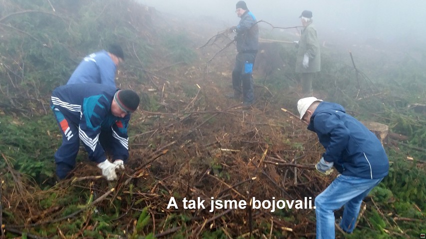 img00007.jpg