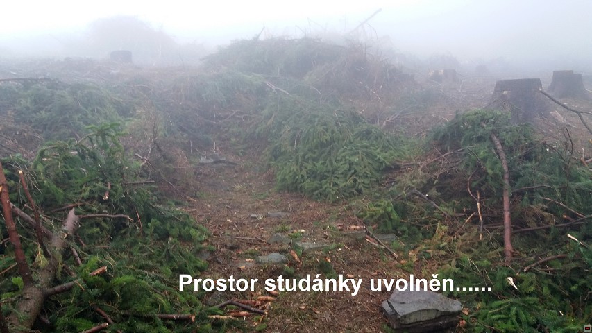 img00011.jpg