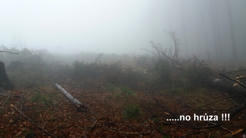 img00015.jpg