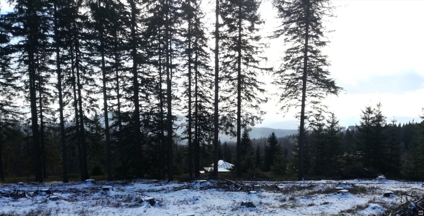 img00014.jpg
