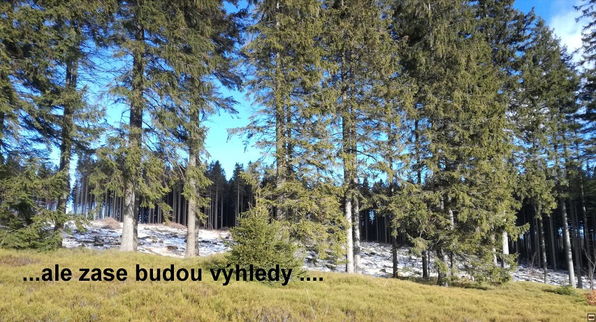 img00015.jpg