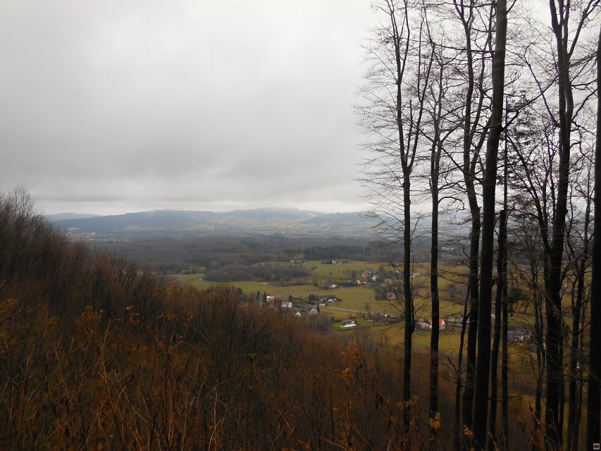 img00004.jpg