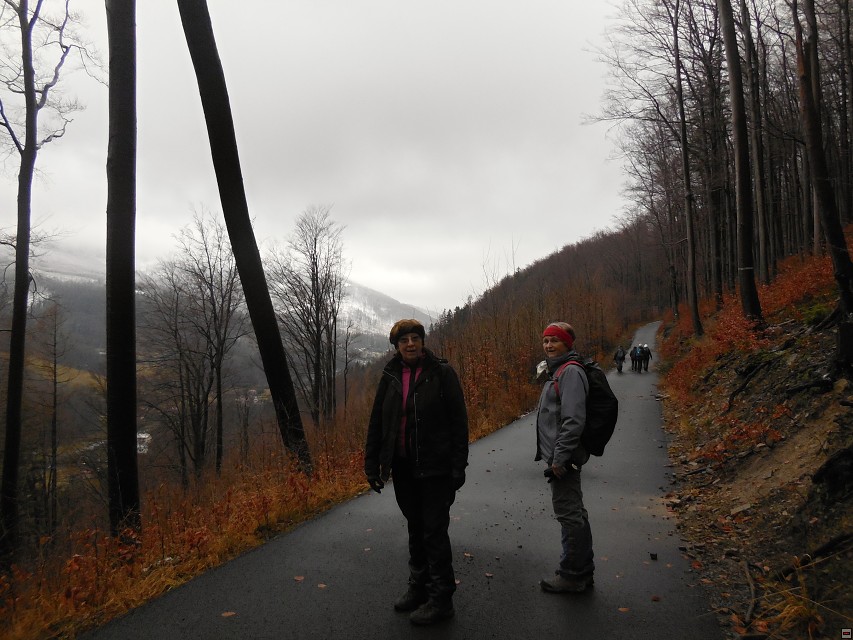 img00005.jpg