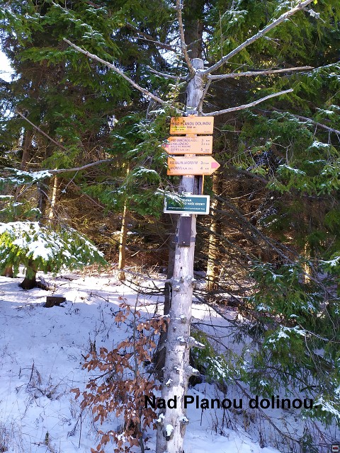 img00008.jpg