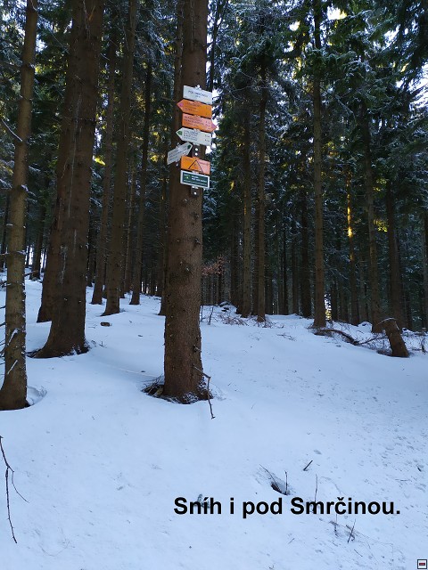 img00009.jpg