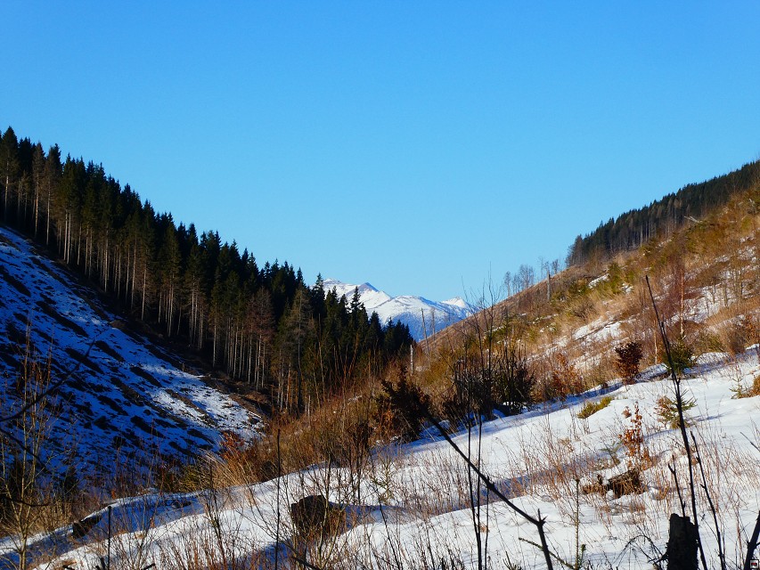 img00004.jpg