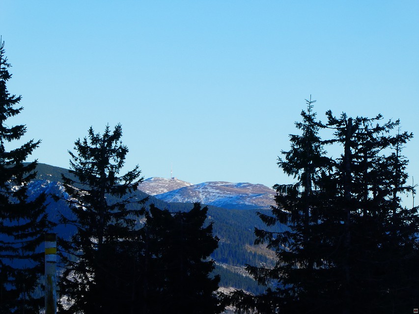 img00008.jpg