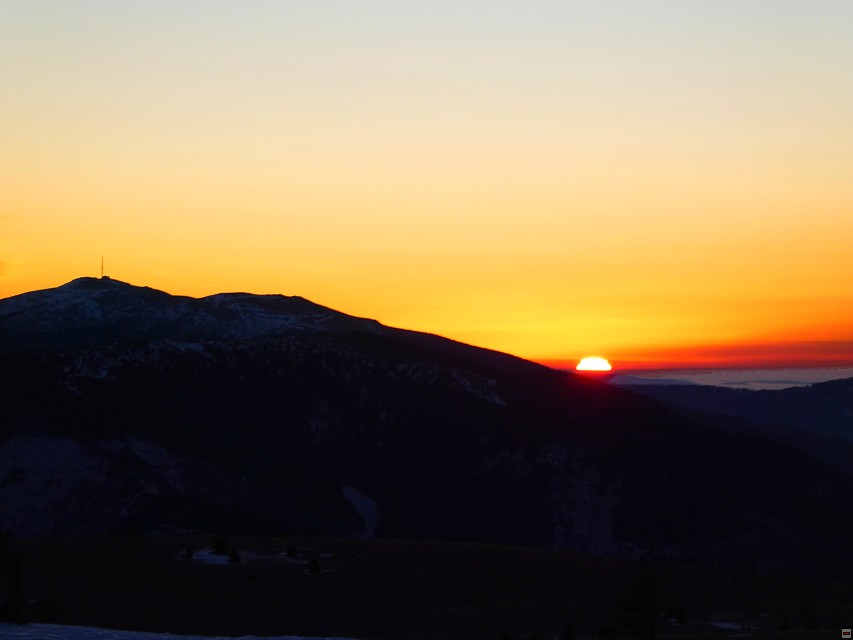 img00029.jpg