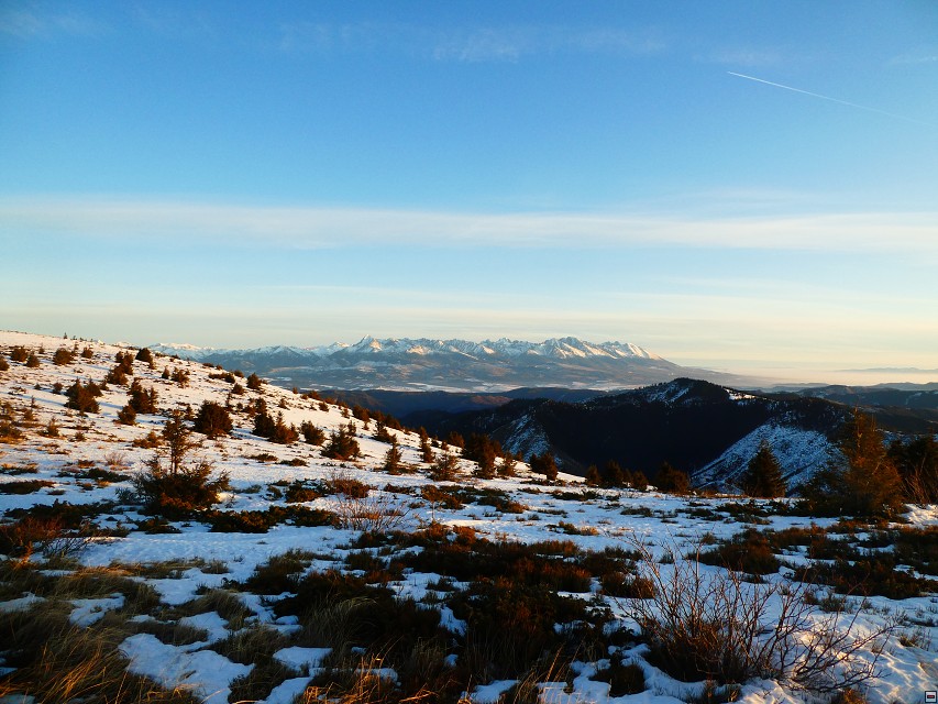 img00046.jpg