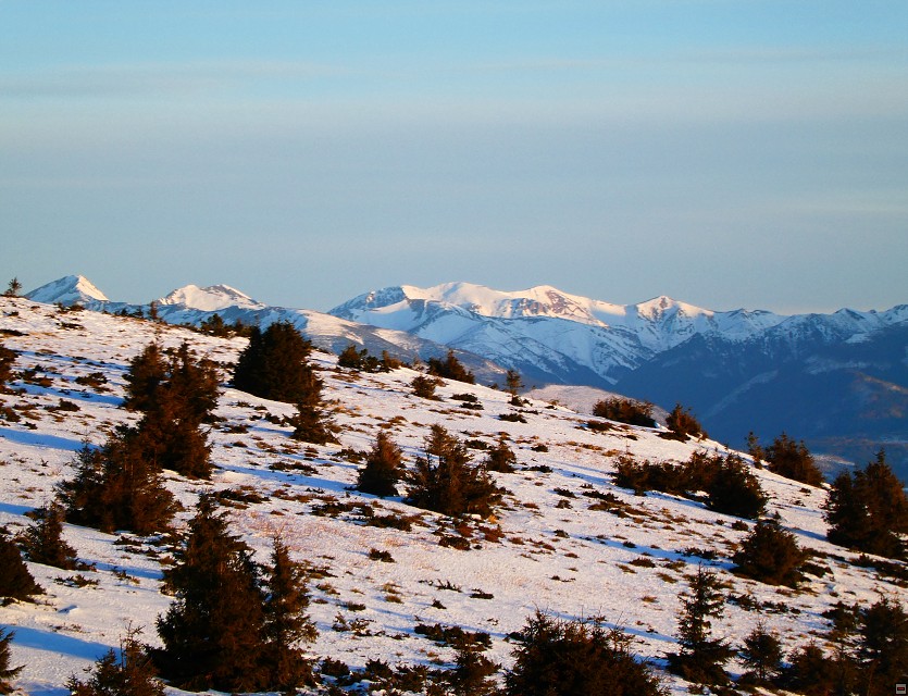img00051.jpg