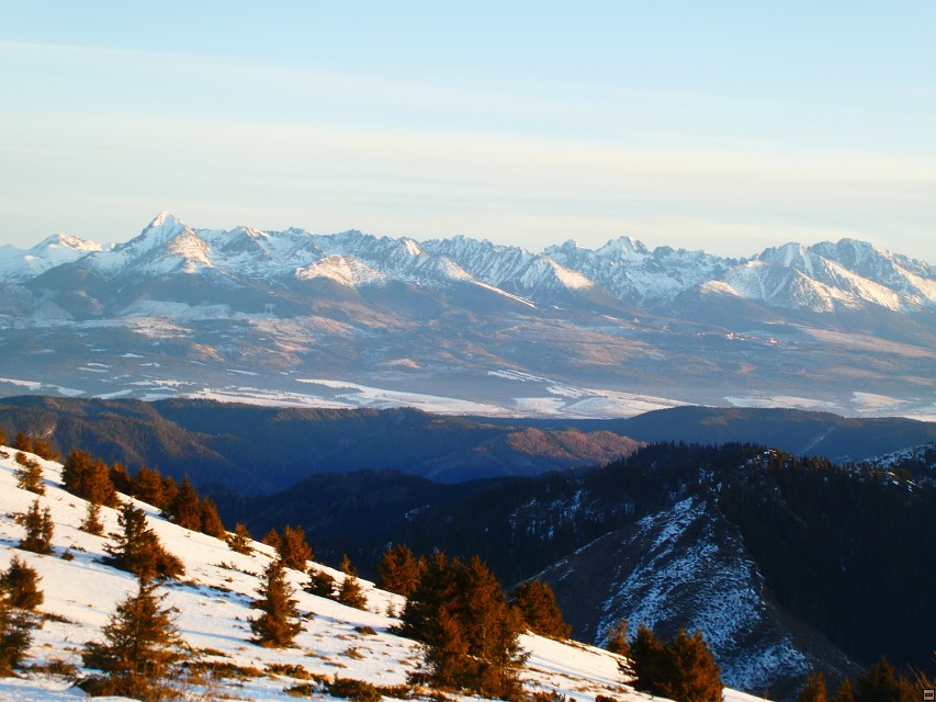 img00052.jpg
