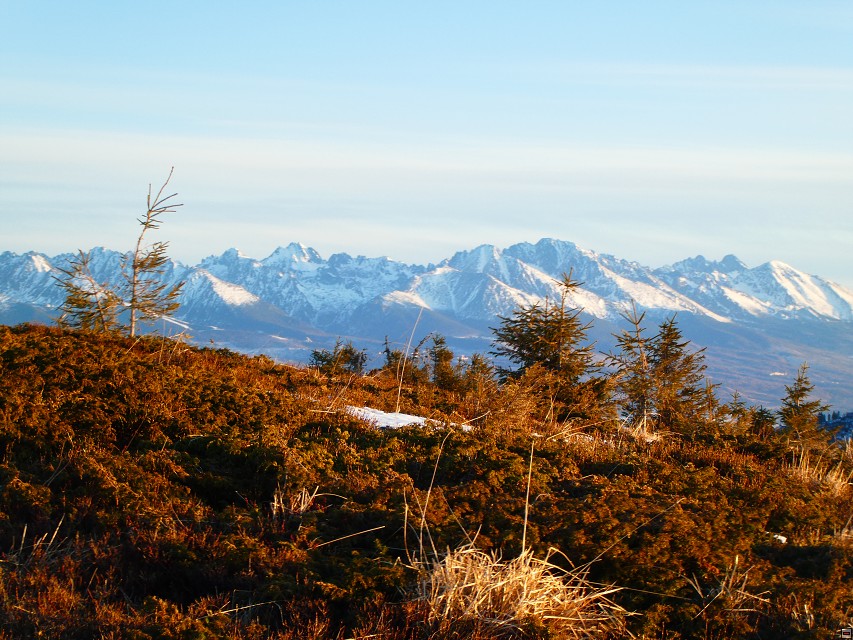 img00054.jpg