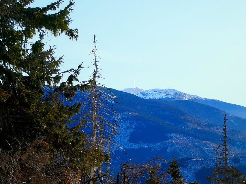 img00060.jpg