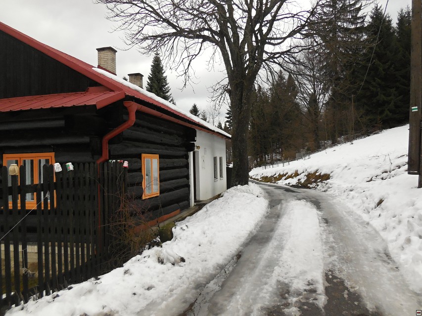 img00005.jpg