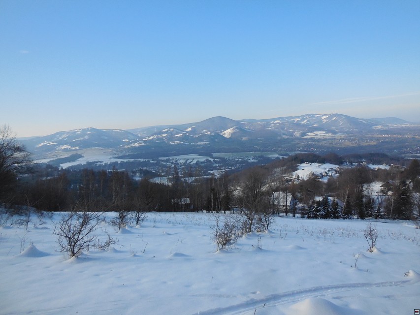 img00007.jpg