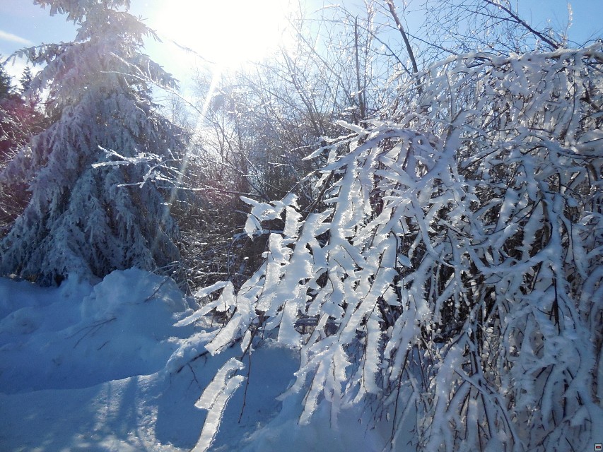 img00014.jpg