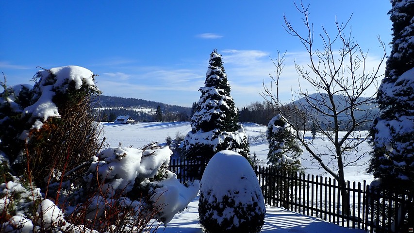 img00019.jpg