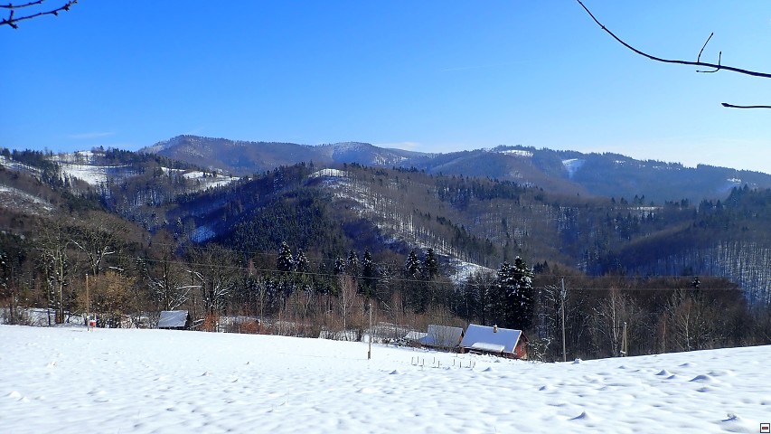 img00024.jpg