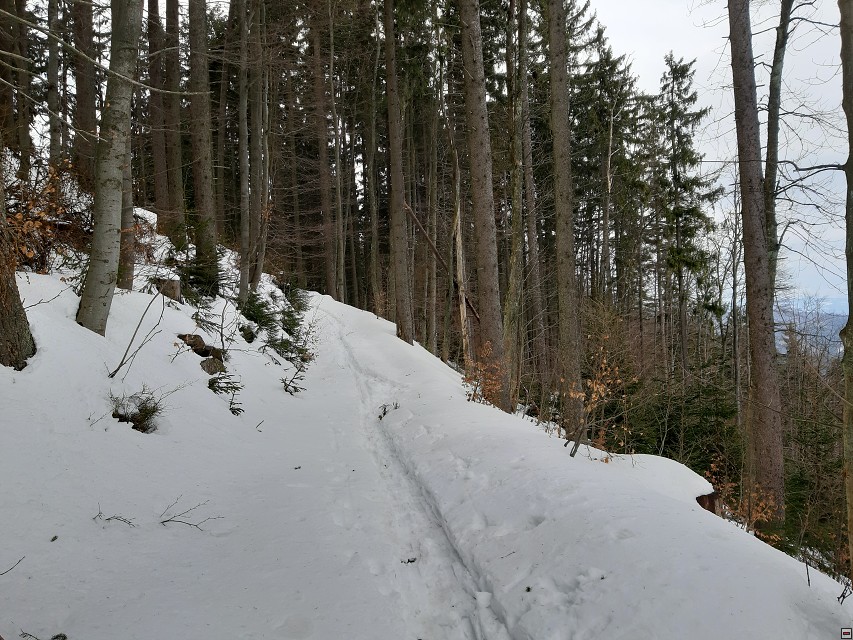 img00008.jpg