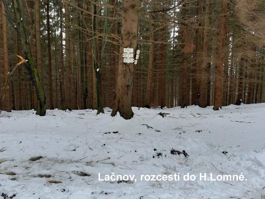 img00009.jpg