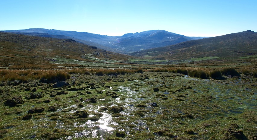 img00014.jpg