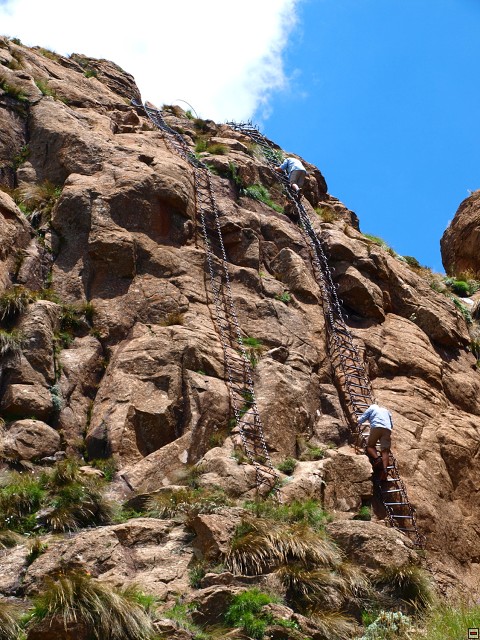 img00017.jpg