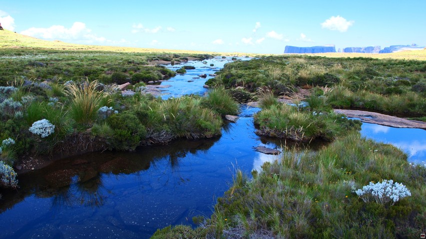 img00022.jpg